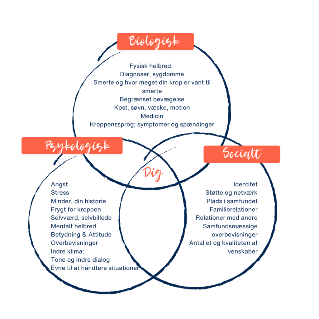Totum - Biopsykosocial smertemodel